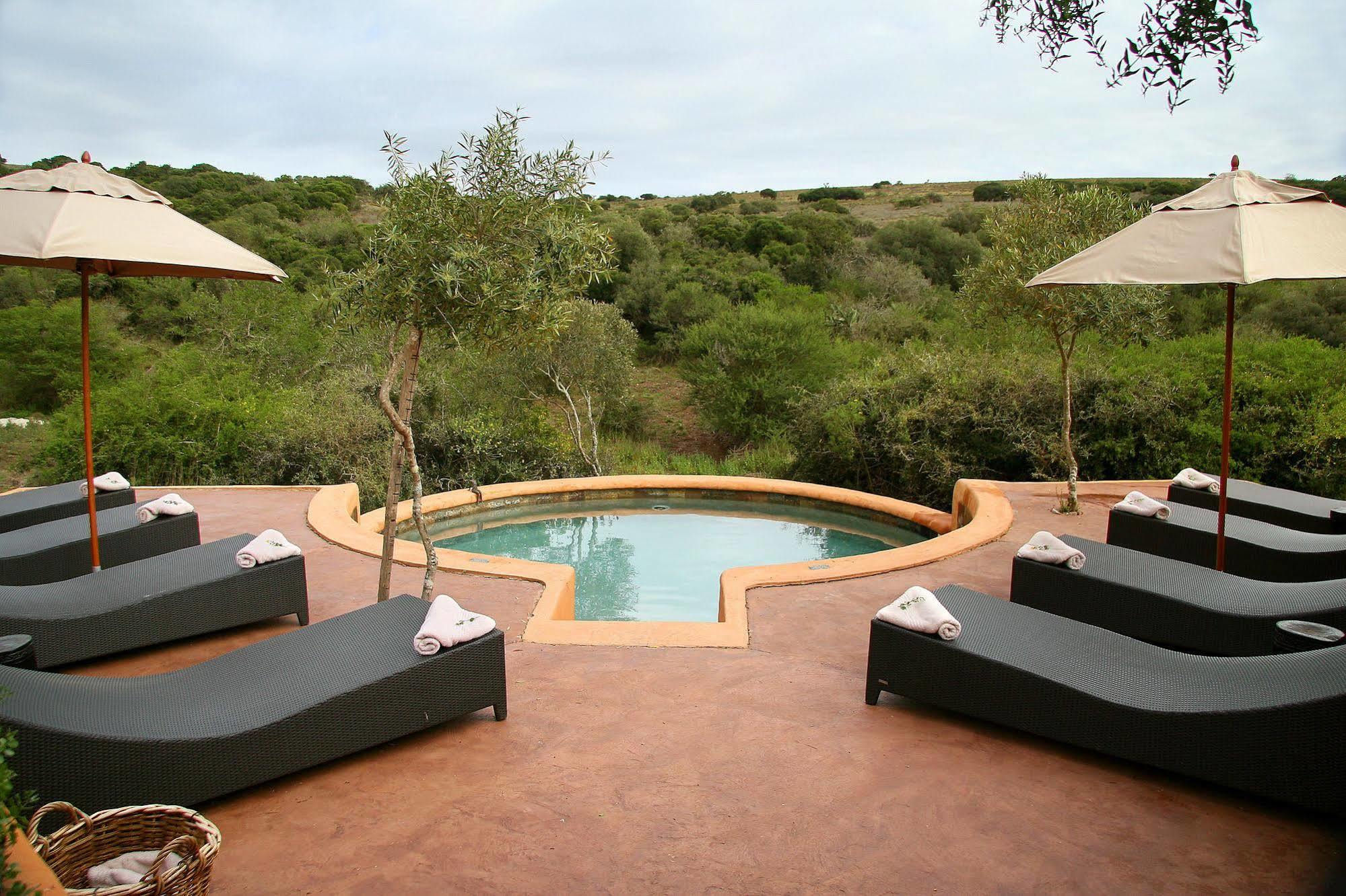 Amakhala Safari Lodge Paterson Exterior foto